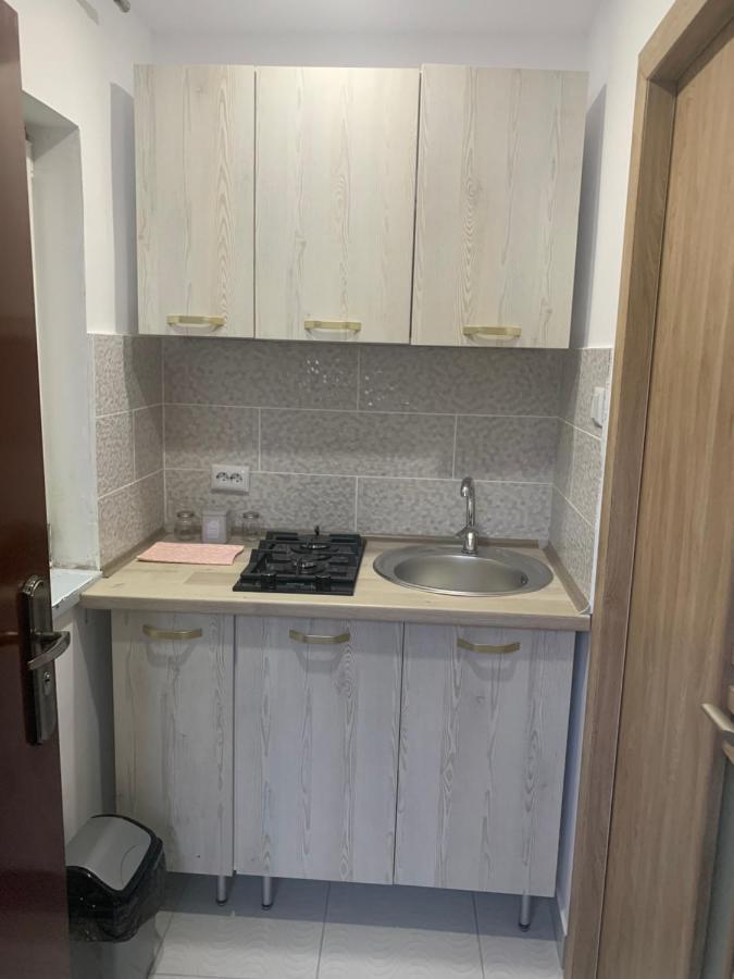 Casa Anastasia-Constanta Delfinariu Zewnętrze zdjęcie
